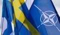 Vengrijai ratifikavus Švedijos paraišką dėl narystės NATO, Lietuvos vadovai tai vadina istorine diena  (nuotr. SCANPIX)