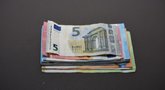 Vyriausybė pasiskolino 40 mln. eurų (nuotr. Fotodiena.lt)