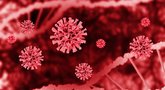 Per parą šalyje – 153 nauji koronaviruso atvejai (nuotr. 123rf.com)