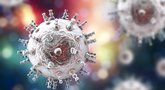 Herpeso virusas (nuotr. Shutterstock.com)