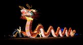 Pakruojo dvare festivalis – „Didieji Azijos žibintai. Drakonai, mitai ir legendos“ nuotr. Ryčio Šeškaičio