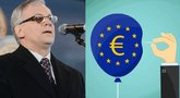 Rimantas Šadžius ragina Lietuvą ruoštis ES paramos pabaigai (TV3 koliažas)  