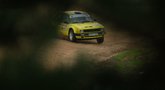 „DHL Rally Elektrėnai“ (nuotr. Tomo Žekonio)