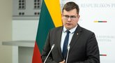 NSGK svarstys Vyriausybės išvadą dėl Pociūnų ir Alytaus aerodromų  (Žygimantas Gedvila/ BNS nuotr.)