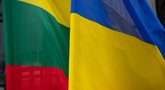 Vilniuje bus pristatoma nauja paramos akcija Ukrainai  (nuotr. Roberto Dačkaus)