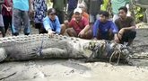 Internete plinta vaizdo įrašas: Indonezijoje kaimietis su sūnumi virve pagavo milžinišką krokodilą (nuotr. stop kadras)