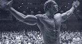 Arnoldas Schwarzeneggeris (nuotr. Balsas.lt)