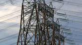 Seimas linkęs pripažinti vieną iš elektros perdavimo tinklų sujungimo projektų ypatingos valstybinės svarbos       (nuotr. SCANPIX)