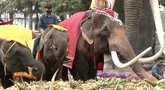 Tailande – dramblių šventė: jiems suruoštos įspūdingos vaišės (nuotr. stop kadras)