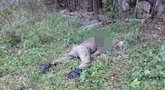 Rusijos rytuose – kraupus radinys: kario kūnas be galvos (nuotr. VK.com)