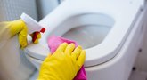Atskleidė didžiausią tualeto valymo klaidą: dėl jos pageltonuoja (nuotr. Shutterstock.com)