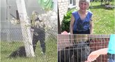 Luokėje nufilmuota, kaip moteris savo šunį žiauriai talžo pagaliu: neva puolė kaimynų vištas (tv3.lt koliažas)
