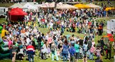 Tūkstančius Lietuvos šeimų subūrė tradicinė „Šeimų šventė“ (nuotr. Organizatorių)