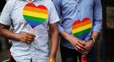 „Gay Pride“ fiesta (nuotr. SCANPIX)