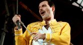 Londone už 35 mln. eurų parduodamas Freddie Mercury‘io namas  (nuotr. SCANPIX)