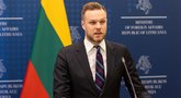 Landsbergis: pataisos dėl ambasadorių įtvirtintų prezidento konstitucines galias s (Paulius Peleckis/ BNS nuotr.)
