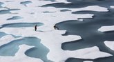 Arktis (nuotr. SCANPIX)
