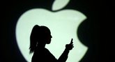 Bendrovei „Apple“ už akcininkus suklaidinusius Cooko pareiškimus gali tekti sumokėti 490 mln. JAV dolerių  (nuotr. SCANPIX)