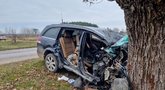 Mirtina avarija Kretingos rajone: automobiliui atsitrenkus į medį žuvo du žmonės  (nuotr. TV3)