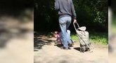 Motina mergaitę kaip šunį vedžioja už pavadžio ir leidžia kitiems vaikams ją „šerti“ iš rankų (nuotr. YouTube)