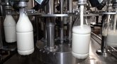 Parodė, kaip pienas atkeliauja iki parduotuvių lentynų: štai, kam kapsi didžiausi pelnai (nuotr. stop kadras)