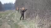 Medžioklė (nuotr. stop kadras)