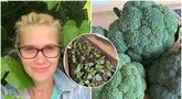 Eleonora Ališauskienė atskleidė brokolių auginimo ypatybes (nuotr. tv3.lt fotomontažas)