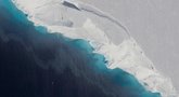 Thwaiteso ledynas (NASA nuotr.)