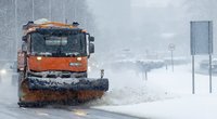 Žiema, sniegas Lukas Balandis/Fotobankas