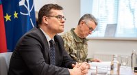 Krašto apsaugos ministras L. Kasčiūnas kalbėjosi su Ukrainos gynybos ministru R. Umerovu  (nuotr. KAM)