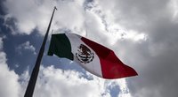 Meksikos vėliava. (nuotr. SCANPIX)