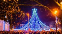 Kalėdų eglė sostinėje 2019 m. (nuotr. Fotodiena/Justino Auškelio)