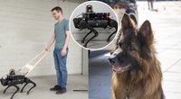 Robotai šunys (tv3.lt koliažas)