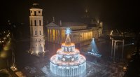 Vilniuje sužibo Kalėdų eglutė (nuotr. Vilniaus miesto savivaldybės)