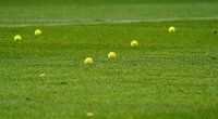 Teniso kamuoliukai (nuotr. SCANPIX)