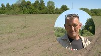Ūkininkus gąsdina sausra: „kiek nori knisk, žemė – sausa“ (tv3.lt koliažas)