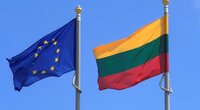 ES ir Lietuvos vėliavos (nuotr. SCANPIX)