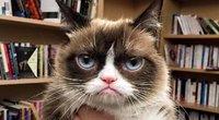 Grumpy Cat kačiukas (nuotr. asmeninio albumo („Facebook“)