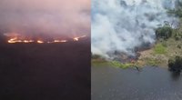 Amazonės miškai dega – kaltininkė ne sausra, o žmonės (tv3.lt koliažas)