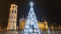 Vilniaus Kalėdų eglė 2021 m. (nuotr. Sauliaus Žiūros)