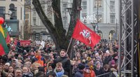 Protestas Vilniuje (Fotodiena/Vilius Jurgelevičius )  