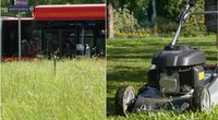  Vilniuje vėl bus pjaunama žolė: atsakė, kokios laukia išimtys (tv3.lt koliažas)