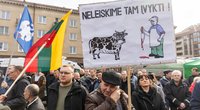 Ūkininkai plūsta prie Seimo: jų čia – daugiau kaip 1 tūkst. (Žygimantas Gedvila/ BNS nuotr.)
