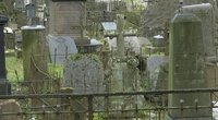 Bernardinų kapinės atsidūrė ant sugriuvimo ribos: ieško žmonių pagalbos (nuotr. stop kadras)