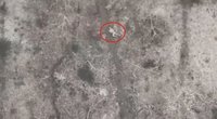 Rusų karys sugalvojo gudrią schemą: apsimetė miręs, kad pabėgtų nuo Ukrainos drono  (nuotr. UNIAN)  