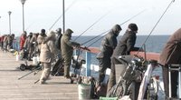 Palangos tiltas lūžta nuo žvejų: ant kabliuko laukia reto laimikio (nuotr. stop kadras)