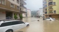 Potvyniai plauna Turkiją: purvo nuošliaužos tvindo gatves, griauna namus (nuotr. stop kadras)