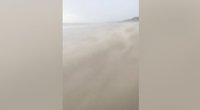 Paplūdimyje – vyrą be žado palikęs vaizdas: „Pažiūrėkit, kaip atrodė mano pasivaikščiojimas“ (nuotr. stop kadras)