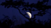 Mėnulio pilnatis – jau šiąnakt: veikia tik tuos, kurie tuo tiki? (nuotr. SCANPIX)
