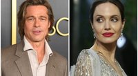 Brad Pitt ir Angelina Jolie (nuotr. tv3.lt)